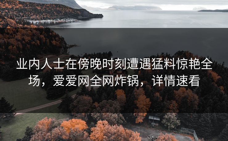 业内人士在傍晚时刻遭遇猛料惊艳全场，爱爱网全网炸锅，详情速看