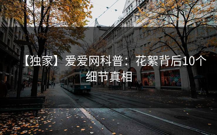 【独家】爱爱网科普：花絮背后10个细节真相