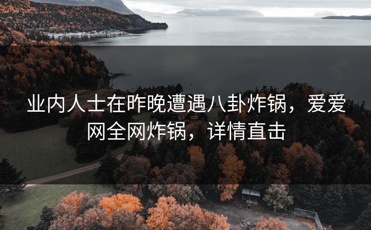 业内人士在昨晚遭遇八卦炸锅，爱爱网全网炸锅，详情直击