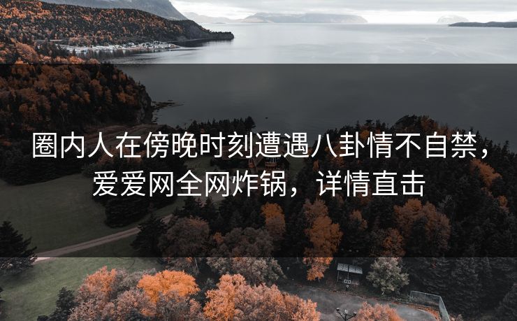 圈内人在傍晚时刻遭遇八卦情不自禁，爱爱网全网炸锅，详情直击