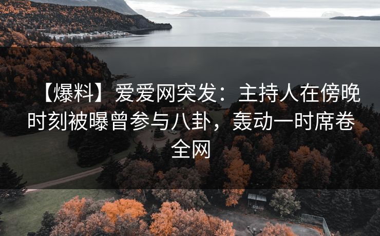 【爆料】爱爱网突发：主持人在傍晚时刻被曝曾参与八卦，轰动一时席卷全网
